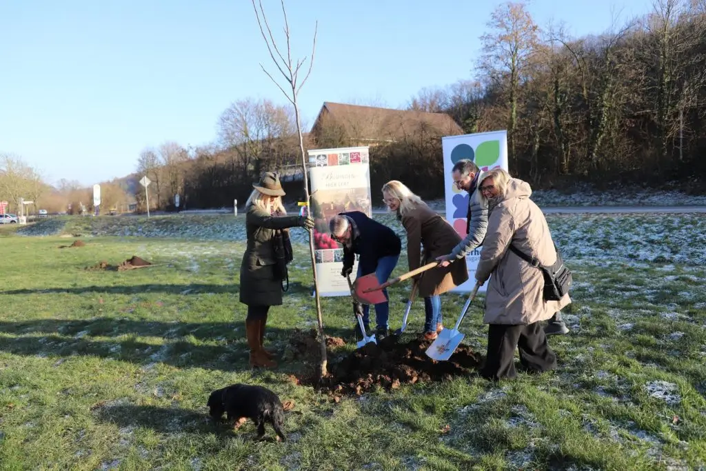 Mehrere Personen pflanzen gemeinsam einen jungen Nussbaum auf einer Wiese in Büdingen im Rahmen des Projekts „NussEcken“.