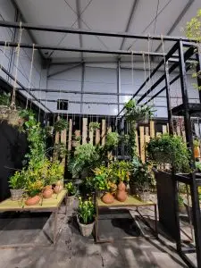 Arrangement und Foto: Meisterflorist Christopher Ernst