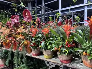 Arrangement und Foto: Meisterflorist Christopher Ernst