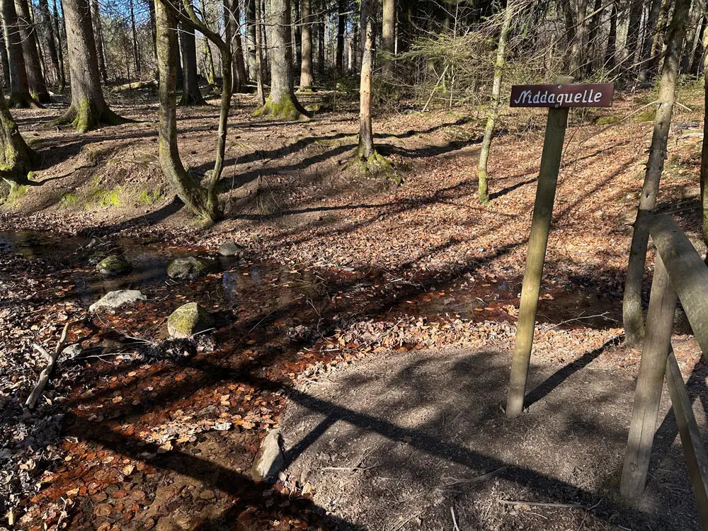 Foto der Niddaquelle