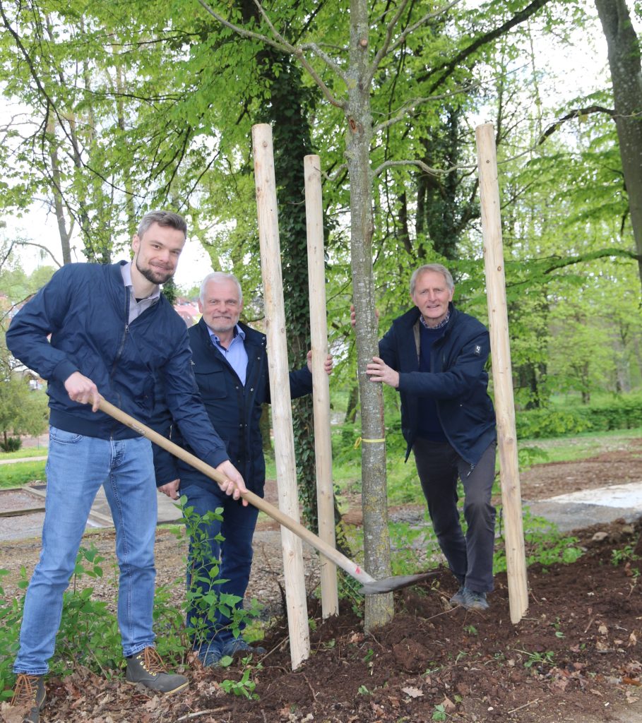 Drei Personen pflanzen gemeinsam einen Baum im Gruenen