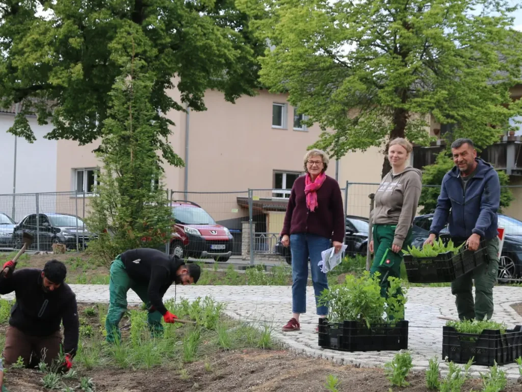 Anette Schött begleitet die Pflanzarbeiten im neuen Stadtpark Büdingen während das Team der Firma August Fichter Stauden in den Regengärten setzt