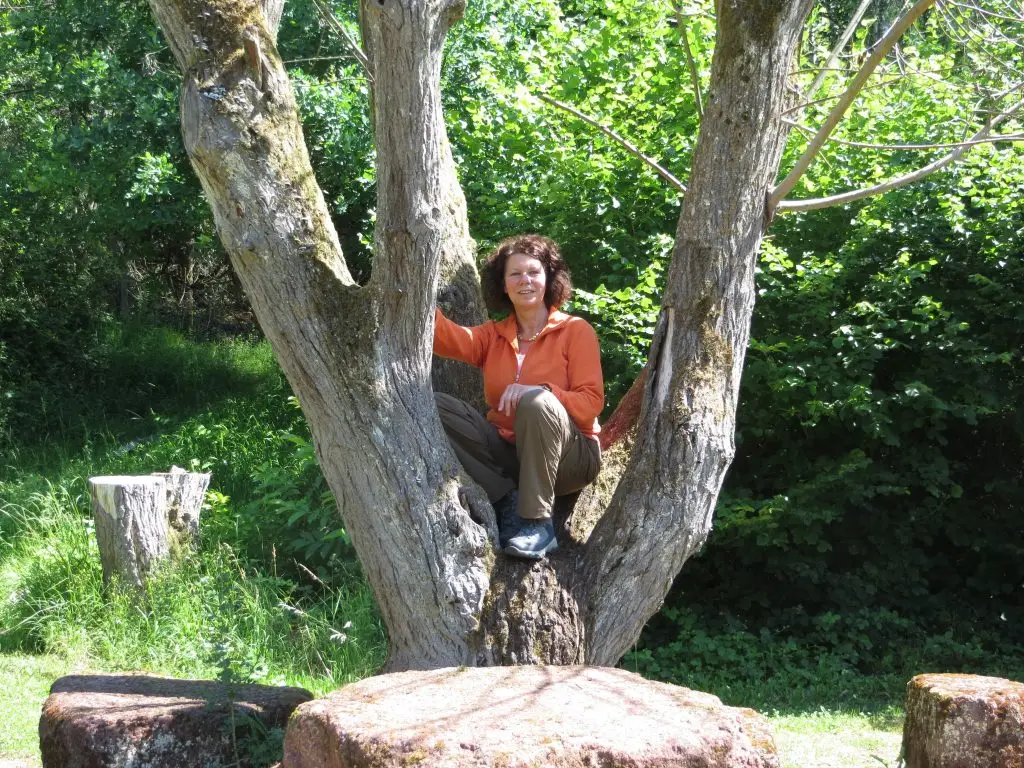 Eine Frau sitzt in der Astgabel eines großen Baumes inmitten grüner Natur.