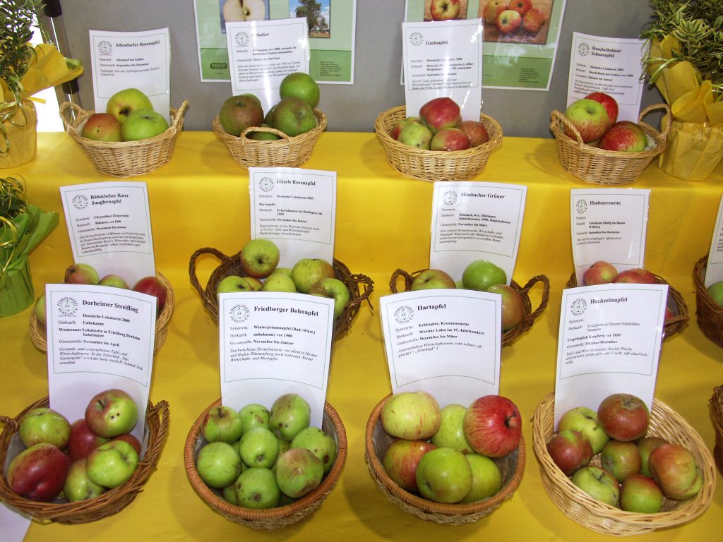 Mehrere Körbe mit unterschiedlichen Apfelsorten stehen beschriftet auf einem Ausstellungstisch.