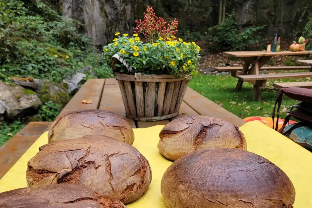 Mehrere frisch gebackene Brotlaibe liegen auf einem gelben Tuch auf einem Holztisch im Freien.