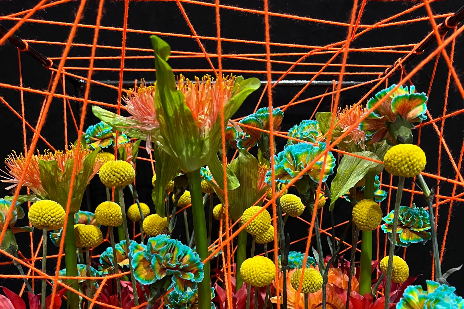 Farbenfrohes Blumenarrangement mit gelben Kugelblüten, orangefarbenen Blüten und orangefarbenen Fäden vor schwarzem Hintergrund.